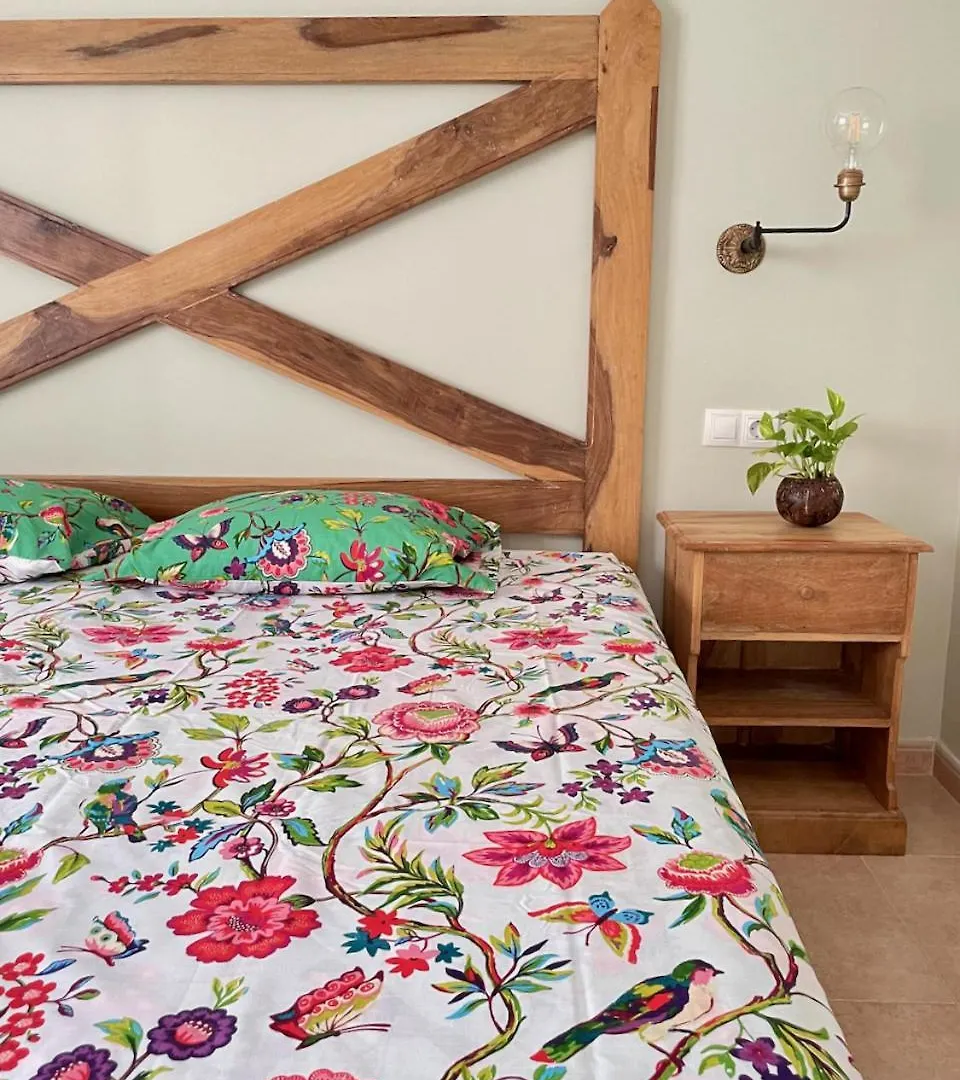 Aparthotel Casa Perseo - Oasis Papagayo Corralejo Španělsko